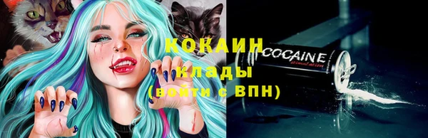 индика Армянск