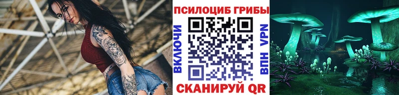 Галлюциногенные грибы Magic Shrooms  магазин продажи   даркнет как зайти  Волгоград 
